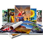 Ezprinters printers
